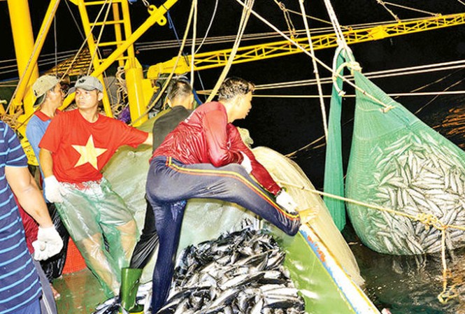 Việt Nam nỗ lực thực chất Tổng cục Thủy sản Việt Nam đã phát triển cơ sở dữ liệu quốc gia tích hợp dữ liệu liên quan tàu cá, bao gồm đăng ký, giấy phép, nhật trình, phần mềm đồng bộ được sử dụng ở 8 tỉnh duyên hải. Ảnh: J.B.
