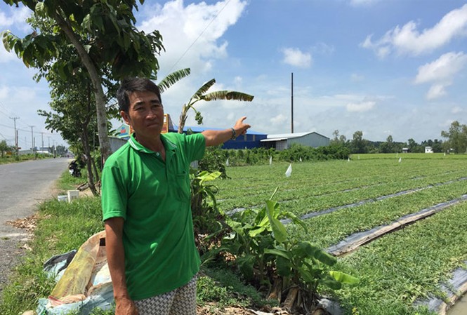 Cơ sở tái chế nhôm “chui” gây ô nhiễm Ông Võ Văn Mười chỉ ống khói cơ sở nhôm xả thải gây ô nhiễm.