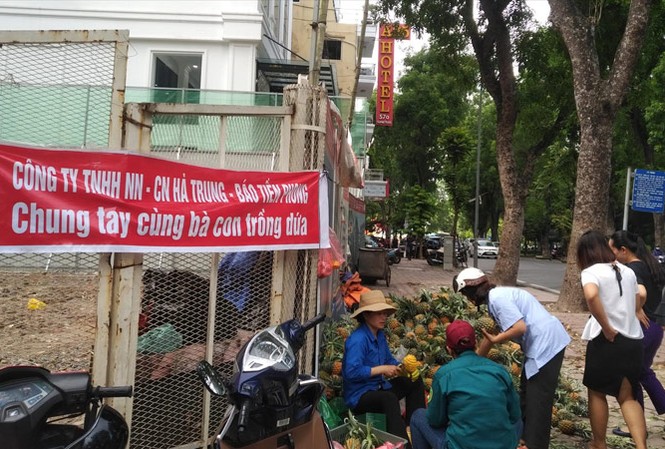 Hỗ trợ nông dân bán lẻ dứa tại bến xe, nhà ga Điểm bán lẻ dứa của nông dân cạnh trụ sở báo Tiền Phong. Ảnh: Sỹ Lực.