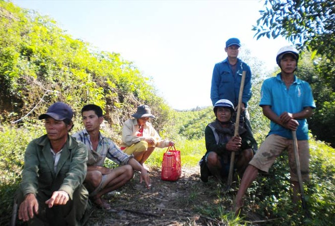 Thất thoát 1.000 ha rừng ở Quảng Trị Khu vực đất rừng bắc sông Hiếu, nơi xảy ra tranh chấp giữa người dân địa phương với Công ty Lâm nghiệp Ðường 9. Ảnh: Phạm Xuân Dũng.