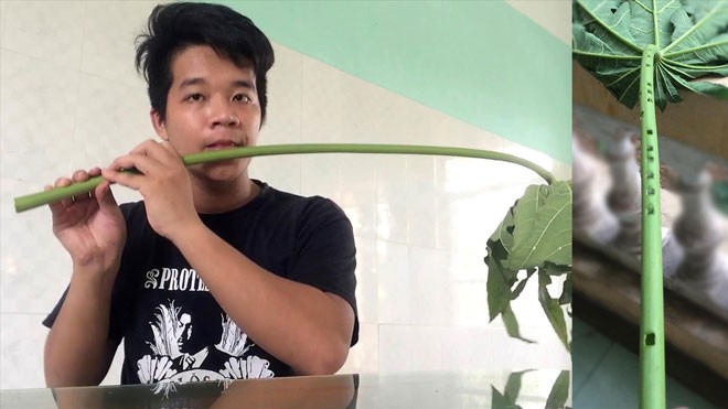 Tiếng sáo đu đủ chinh phục cộng đồng mạng Trần Bá Toàn gây ấn tượng với khả năng thổi sáo làm bằng ống đu đủ. Ảnh: CTV.