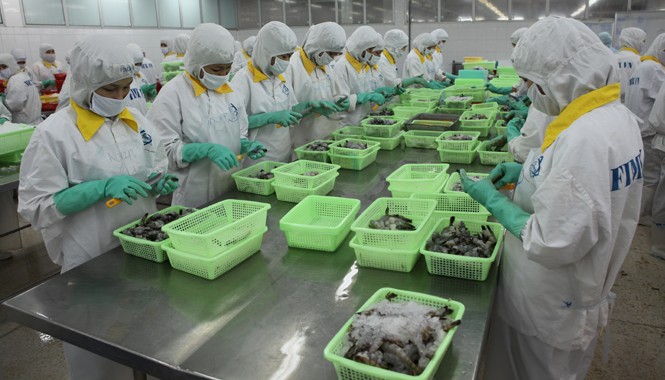 Nông nghiệp “được mùa, được giá” Xuất khẩu tôm đạt mức kỷ lục 4 tỷ USD. Ảnh: D.Khang