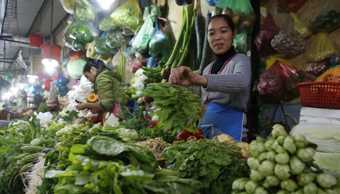 Lập ban điều phối cung cấp thực phẩm an toàn cho Hà Nội Rau củ quả an toàn là mong muốn của người tiêu dùng. Ảnh: Hồng Vĩnh