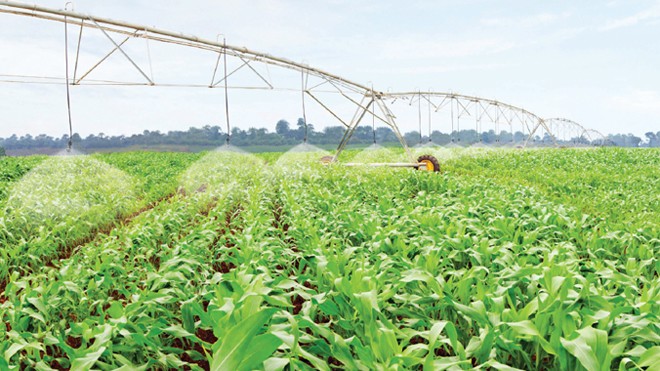 Thủy lợi “mềm hóa” phục vụ phát triển kinh tế Ứng dụng công nghệ tưới tiên tiến, tiết kiệm nước, có thể giúp tăng năng suất 10-40% so với tưới thông thường