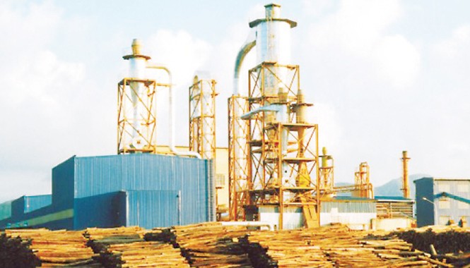 Vinafor tinh gọn, hiệu quả theo thị trường Vinafor thực hiện chuỗi khép kín trồng rừng đến sản phẩm