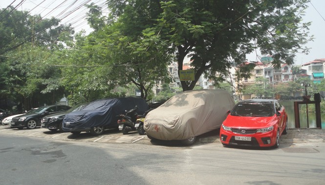 Ô tô vây hồ sinh thái Ô tô vây hồ sinh thái
