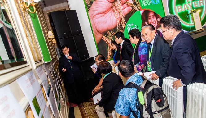 Bayer giúp người nông dân tăng năng suất, giảm chi phí trong sản xuất lúa Diễn đàn tương lai lúa gạo Đông Nam Á được tổ chức ngày 14-16/10.