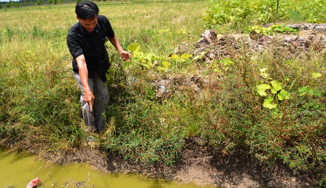 Ưu tiên các nguồn lực phòng chống hạn, mặn Người dân Thới Bình, U Minh đang chỉ nước đã cạn xuống trên cánh đồng. Ảnh: Tiến Hưng