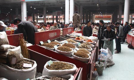 Thuốc bắc chứa vài chục loại thuốc trừ sâu Ảnh minh họa