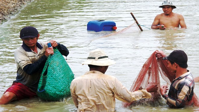 Cấp khống thức ăn thủy sản: Địa phương bó tay, nông dân bất bình Hàng triệu người nông dân nuôi trồng thủy sản trên cả nước thấp thỏm lo âu, liệu sản phẩm chăn nuôi họ đang dùng có an toàn? Ảnh: Tiến Hưng