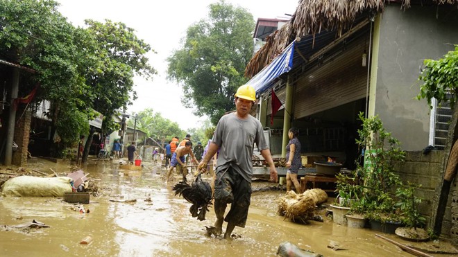 Lào Cai tan hoang sau lũ Nhiều gia súc, gia cầm cũng bị chết vì lũ lụt. Ảnh: Ngọc Bằng - Phạm Đức