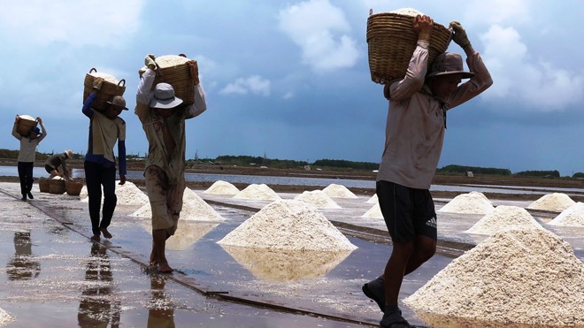 Diêm dân Bạc Liêu 'khóc' trên ruộng muối Hàng trăm nghìn tấn muối Bạc Liêu đang tồn đọng.