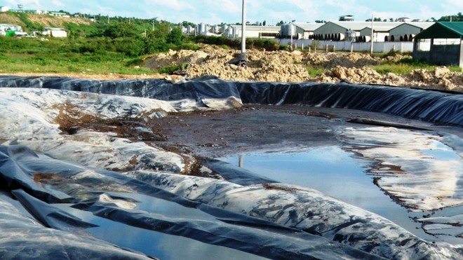 Khó thở vì 35 nghìn con lợn Cty TNHH Green Farm Asia thải ra môi trường.