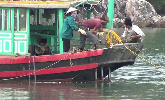 Kiểm tra tình trạng mất trộm nhũ đá Phá nhũ đá đang diễn ra trên di sản Vịnh Hạ Long.