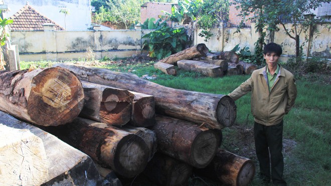 Tin mới vụ gỗ lậu theo đường thủy áp sát TP Kon Tum Gỗ lậu được đưa về Hạt Kiểm lâm thành phố Kon Tum