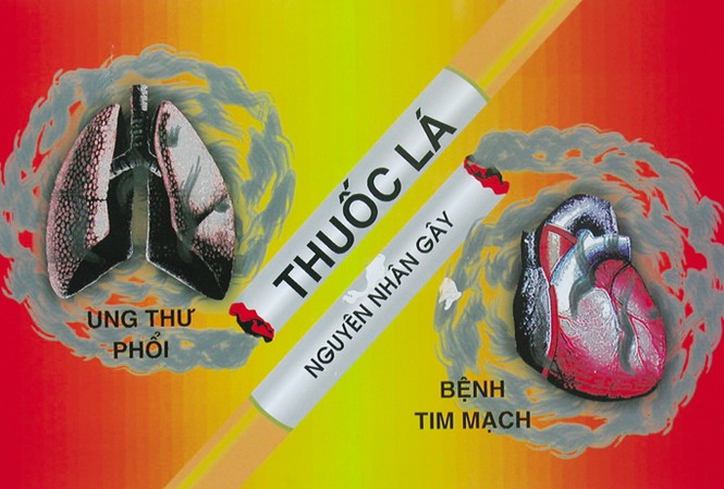 Thuốc lá - nguyên nhân của nhiều bệnh tật Thuốc lá là nguyên nhân gây nên bệnh tim mạch và ung thư phổi.