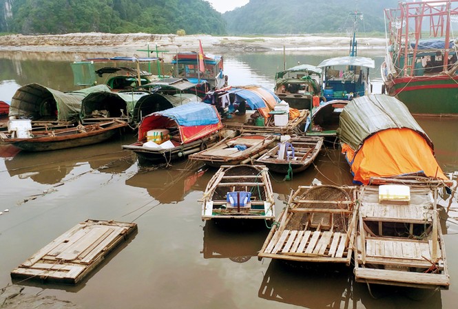 Hạ Long tương phản Kỳ 2: Những kình ngư “mắc cạn” Cả gia đình 5, 6 miệng ăn chỉ trông chờ vào con thuyền cũ rách nát.