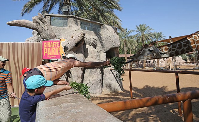 Khánh thành vườn thú trị giá 270 triệu USD Một góc nhỏ Dubai Safari.