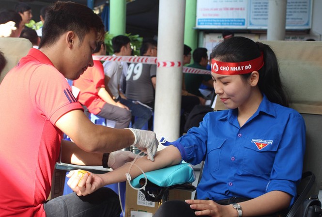 Các hoa khôi hưởng ứng Chủ Nhật Đỏ Người đẹp áo dài - Top 10 Hoa hậu Việt Nam 2014 Nguyễn Huỳnh Trúc Mai hiến máu. Ảnh: Hòa Hội.