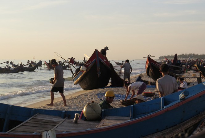 Trở lại bãi ngang sau mùa “biển chết” Kỳ cuối: Cá lại đầy khoang Bến cá của Ngư Thủy Nam vẫn tấp nập trong những ngày đông giá.