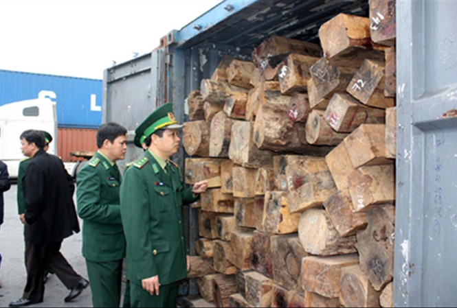 'Cài cắm' có lợi cho mình, gây khó doanh nghiệp Cơ quan chức năng kiểm tra gỗ nhập khẩu. Ảnh: minh họa.
