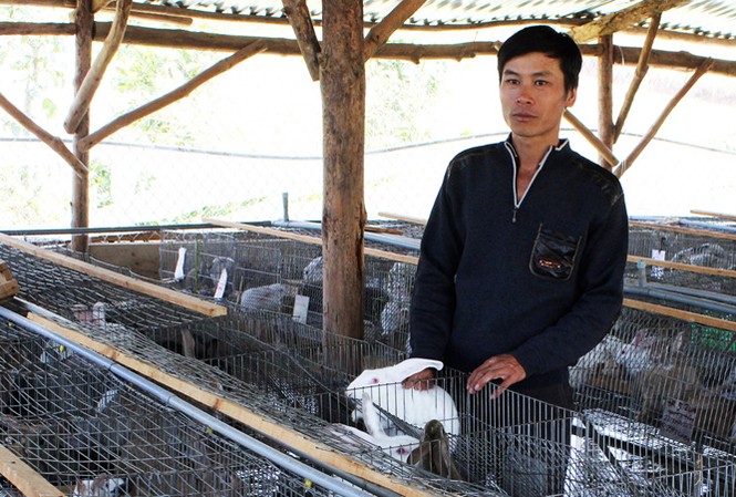 Phất lên nhờ nuôi thỏ bài bản Anh Nguyễn Văn Dũng giàu kinh nghiệm nuôi thỏ.