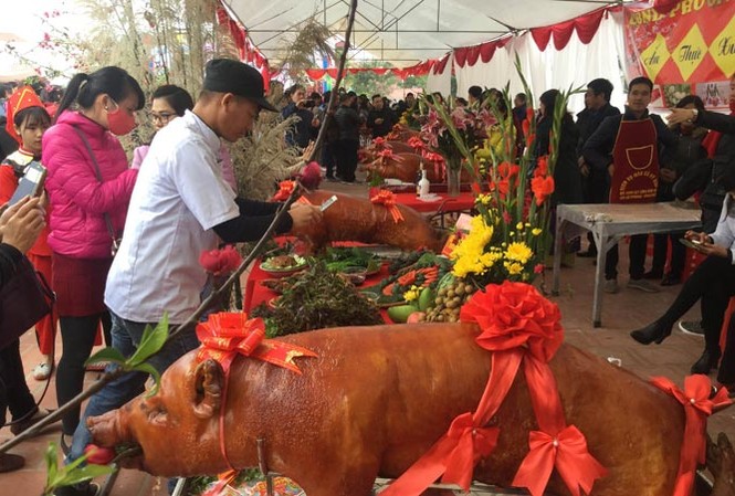 Lễ hội hàng trăm con lợn vàng rộm Hàng trăm con lợn quay ở Lễ hội Lạng Sơn. Ảnh: Duy Chiến.