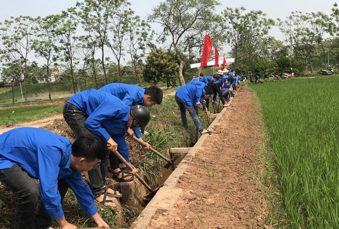 Tuổi trẻ Đất Tổ cán đích Hàng trăm ĐVTN huyện Tam Nông (Phú Thọ) trong một buổi ra quân giúp dân nạo vét kênh mương. Ảnh: Tùng Duy.