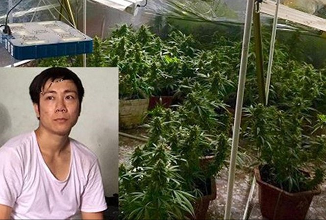 Nhiều đối tượng bất hảo tuyên truyền “Hội Thánh Đức Chúa Trời Mẹ” Đỗ Xuân Hiếu (29 tuổi), trú tại phường Hùng Vương, quận Hồng Bàng, TP Hải Phòng vừa bị công an bắt giữ vì truyền đạo trái phép và trồng cần sa.