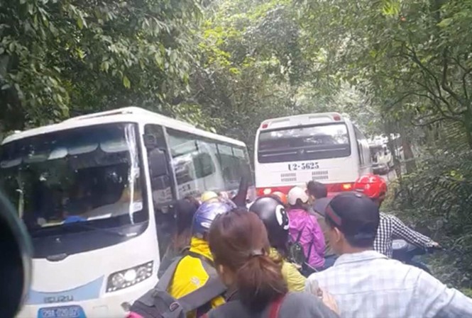 VQG Cúc Phương: Bán vé thu tiền, cho ô tô vào vùng lõi Việc để nhiều ô tô, xe máy vào sâu trong vùng rừng nguyên sinh ở các Vườn Quốc gia sẽ ảnh hưởng đến hoạt động bảo tồn. Ảnh: N.K.