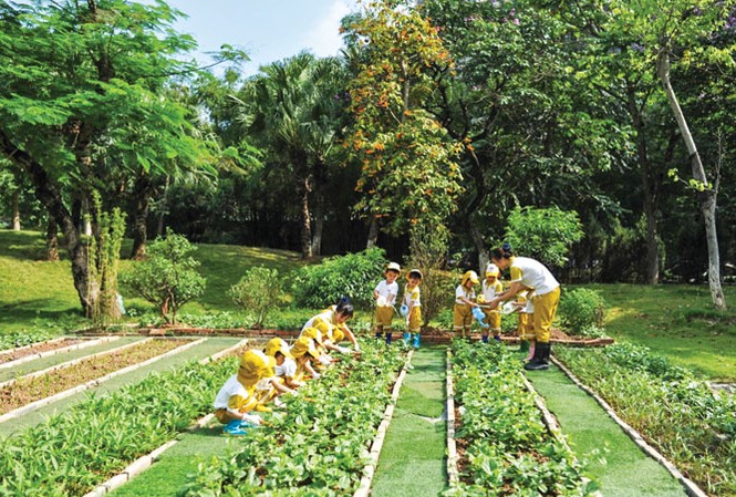 Ngôi trường xanh với những tiết học xanh Chăm sóc vườn rau xanh.