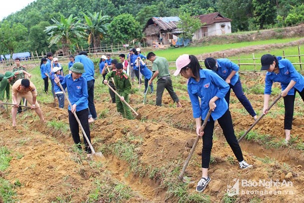 BẢN TIN TÌNH NGUYỆN: Hàng trăm thanh niên lao động giúp bản nghèo BẢN TIN TÌNH NGUYỆN: Hàng trăm thanh niên lao động giúp bản nghèo