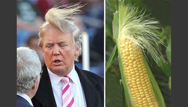 Ông Trump tự hào về mái tóc 'kỳ quặc' của mình Mái tóc “kỳ quặc” của ông Donald Trump