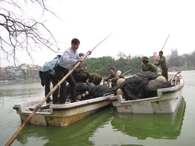 Tiếp tục tìm kiếm cá thể rùa Hồ Gươm thứ hai Tiếp tục tìm kiếm cá thể rùa Hồ Gươm thứ hai