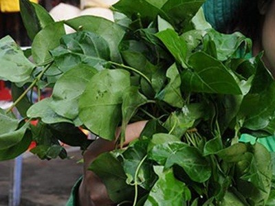 Chữa bệnh từ lá giang Chữa bệnh từ lá giang