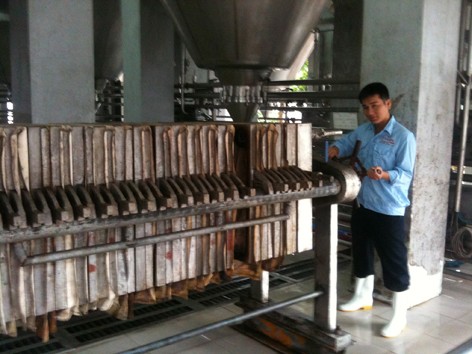 Những chàng trai vàng mang về tiền tỷ Những chàng trai vàng mang về tiền tỷ