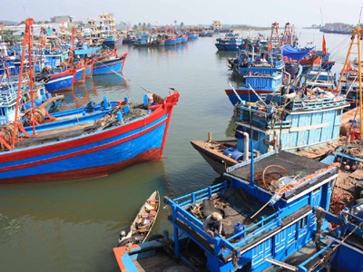Tăng giá xăng dầu, ngư dân lay lắt bám biển Tàu đậu ở cửa biển Nghĩa An (Tư Nghĩa) Ảnh: Nam Cường