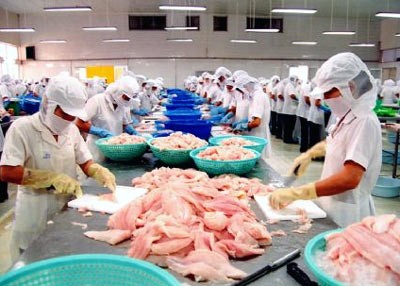 Lúng túng thu mua, xuất khẩu nông sản Lúng túng thu mua, xuất khẩu nông sản