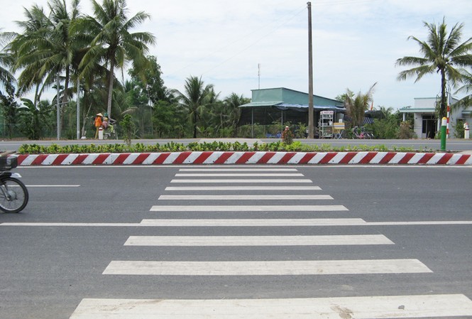 Bến Tre: Qua đường phải leo dải phân cách Một điểm vạch sơn cho người đi bộ qua đường. Ảnh: Châu Thành