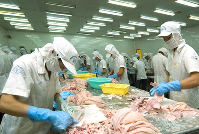Doanh nghiệp bị làm khó Chế biến thủy sản xuất khẩu. Ảnh: T.L