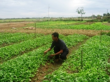 Xây dựng nông thôn mới tại Hà Nội: Chưa thu hút được nguồn vốn xã hội hóa Xây dựng nông thôn mới tại Hà Nội: Chưa thu hút được nguồn vốn xã hội hóa