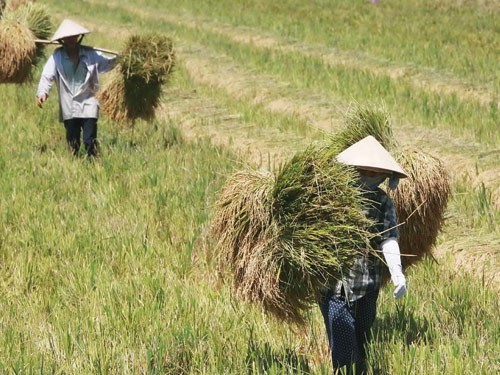 Nên trưng mua đất theo giá thị trường Nên trưng mua đất theo giá thị trường