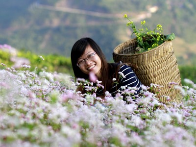 Mùa hoa - mùa phượt Mùa hoa - mùa phượt