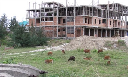 Phá sản sau 9 năm triển khai Phá sản sau 9 năm triển khai