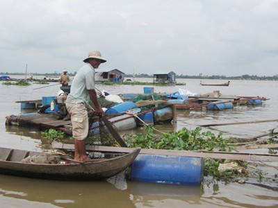 Khai thác cát, tan một làng bè Khai thác cát, tan một làng bè