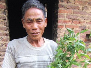 'Thần y' ở Bắc Giang chữa sỏi thận bằng lá cây 'Thần y' ở Bắc Giang chữa sỏi thận bằng lá cây