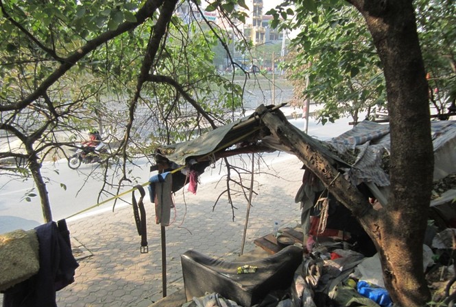 Cận cảnh cuộc sống của 3 'người rừng' ở Hà Nội Cận cảnh cuộc sống của 3 'người rừng' ở Hà Nội