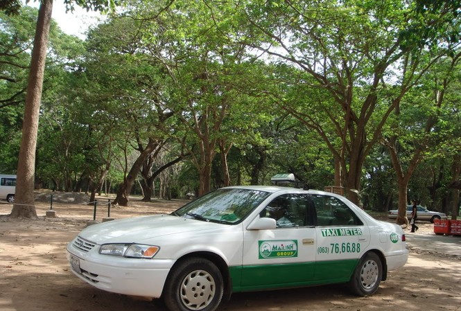 Giám đốc Mai Linh lên tiếng về dâm nữ cưỡng hiếp lái xe taxi Giám đốc Mai Linh lên tiếng về dâm nữ cưỡng hiếp lái xe taxi