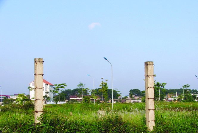 Rà soát, chấn chỉnh từng dự án Rà soát, chấn chỉnh từng dự án
