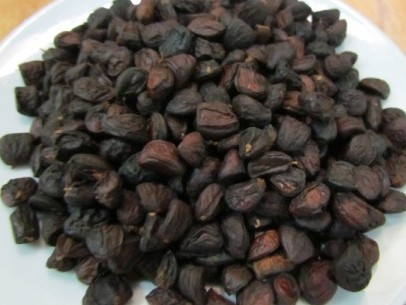 Hạt dổi, đặc sản quý trên núi Na Hang Hạt dổi, đặc sản quý trên núi Na Hang